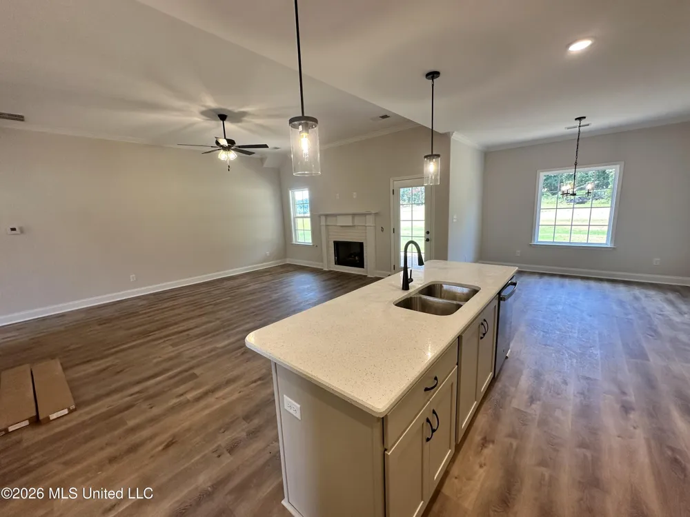 875 Hazelwood Drive Lake Cormorant, MS 38641