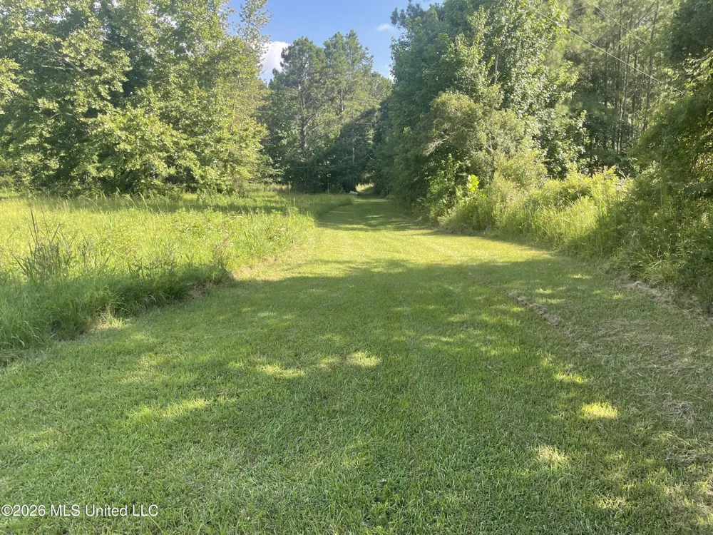 444 Jims Road Lena, MS 39094