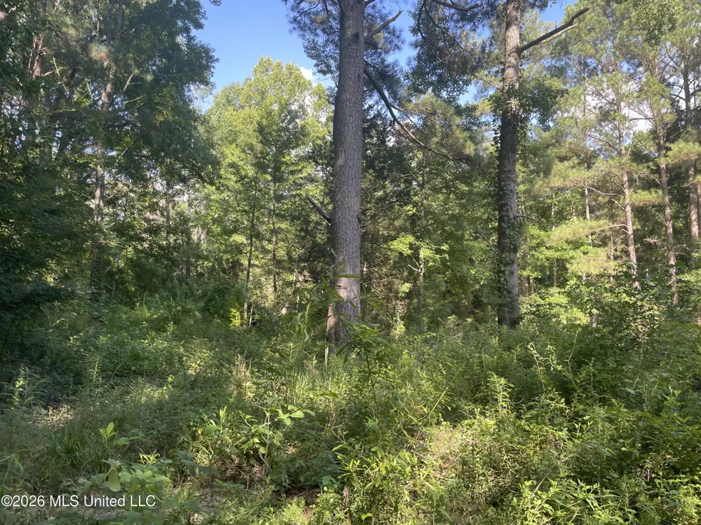 444 Jims Road Lena, MS 39094