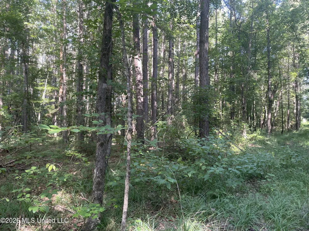 444 Jims Road Lena, MS 39094