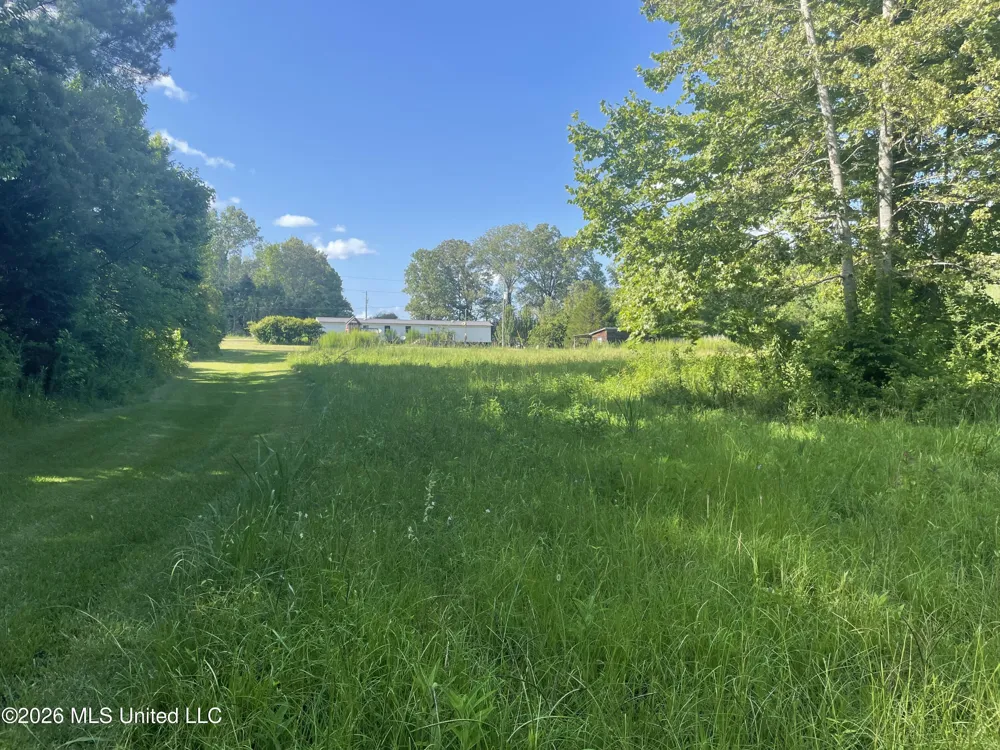 444 Jims Road Lena, MS 39094