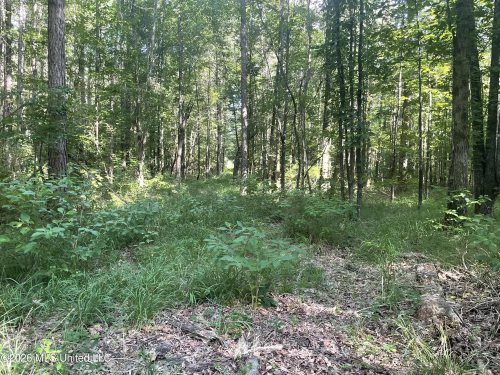 444 Jims Road Lena, MS 39094