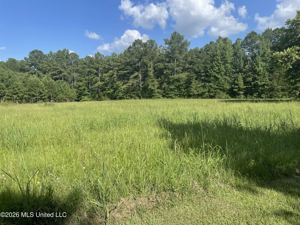 444 Jims Road Lena, MS 39094