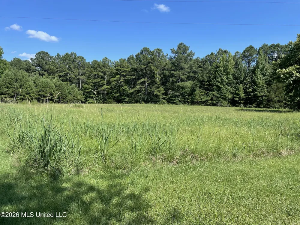 444 Jims Road Lena, MS 39094