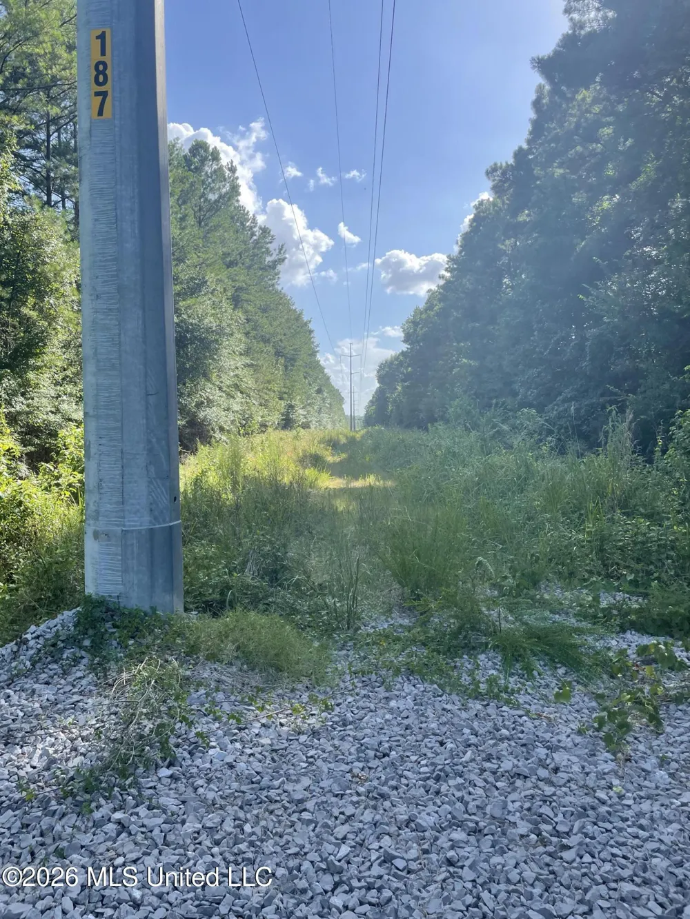 444 Jims Road Lena, MS 39094