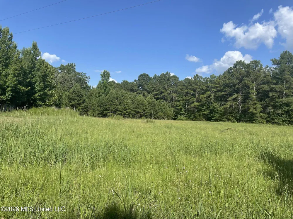 444 Jims Road Lena, MS 39094