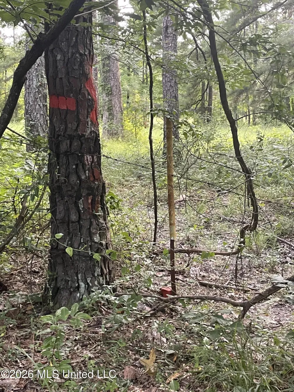 444 Jims Road Lena, MS 39094