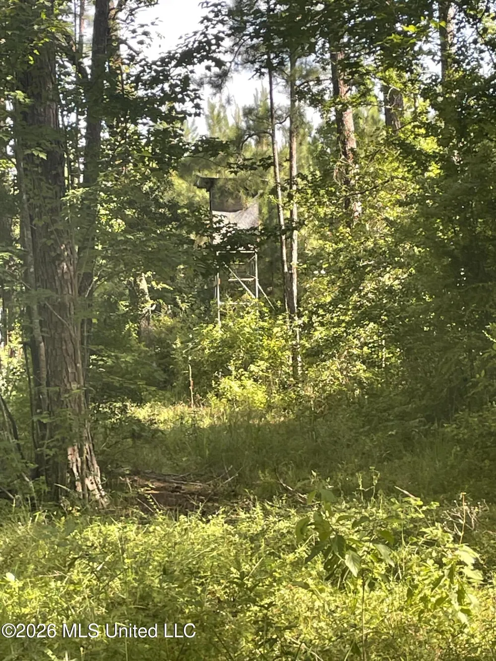 444 Jims Road Lena, MS 39094