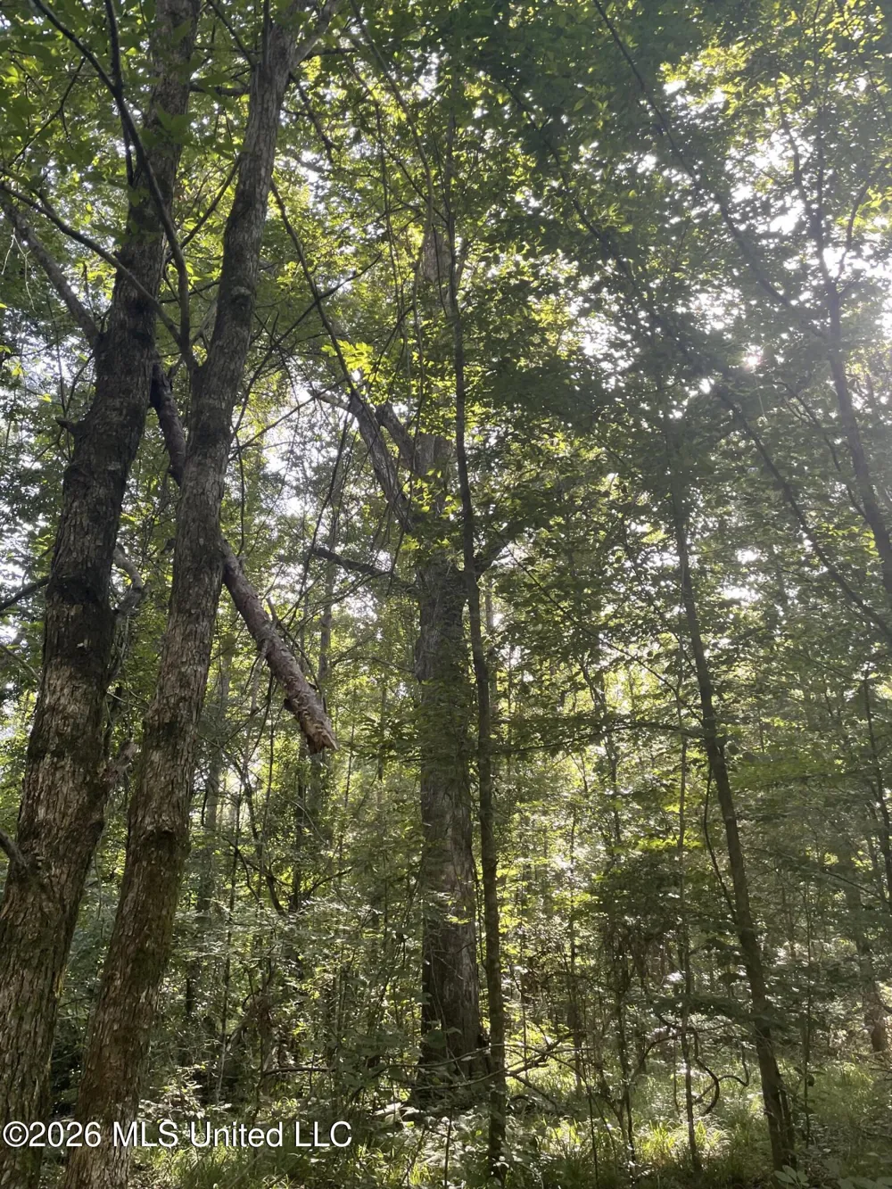 444 Jims Road Lena, MS 39094
