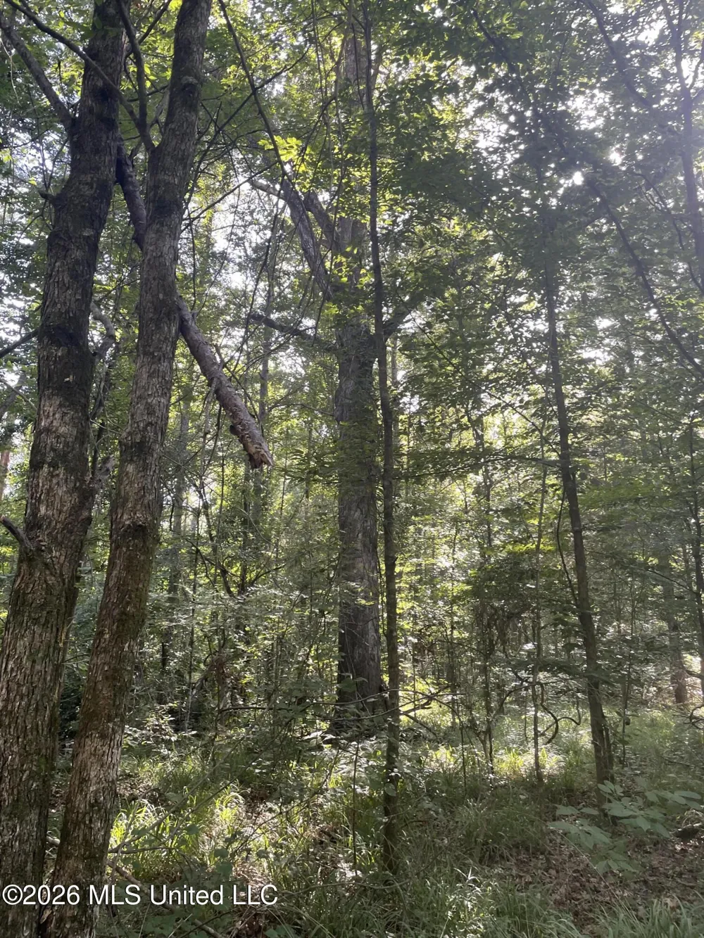 444 Jims Road Lena, MS 39094
