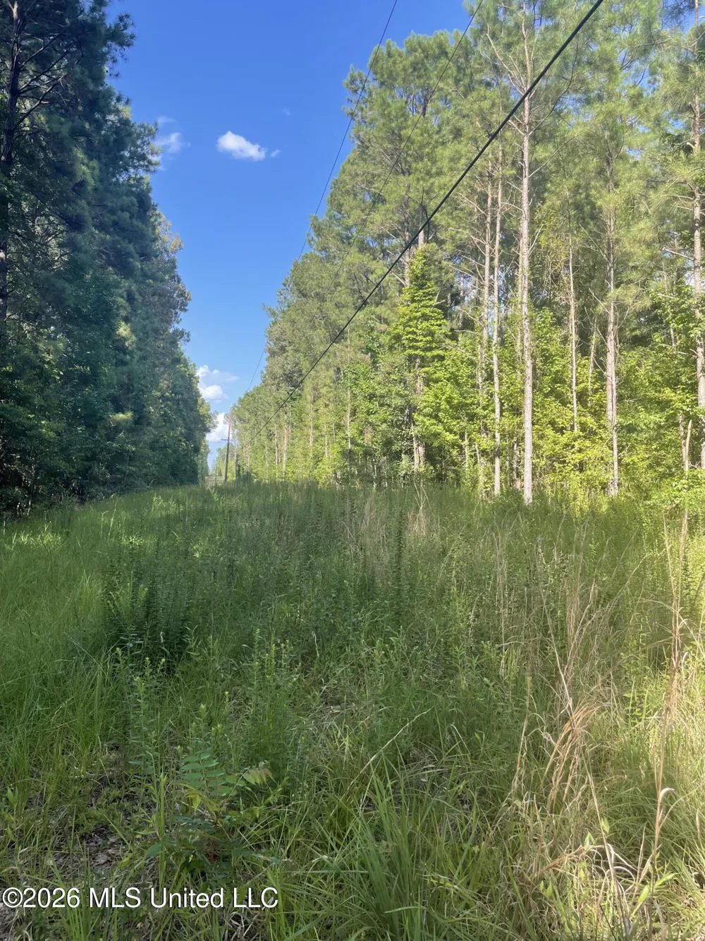 444 Jims Road Lena, MS 39094