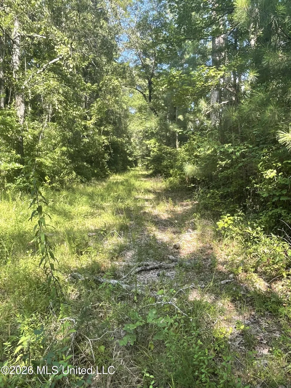 444 Jims Road Lena, MS 39094