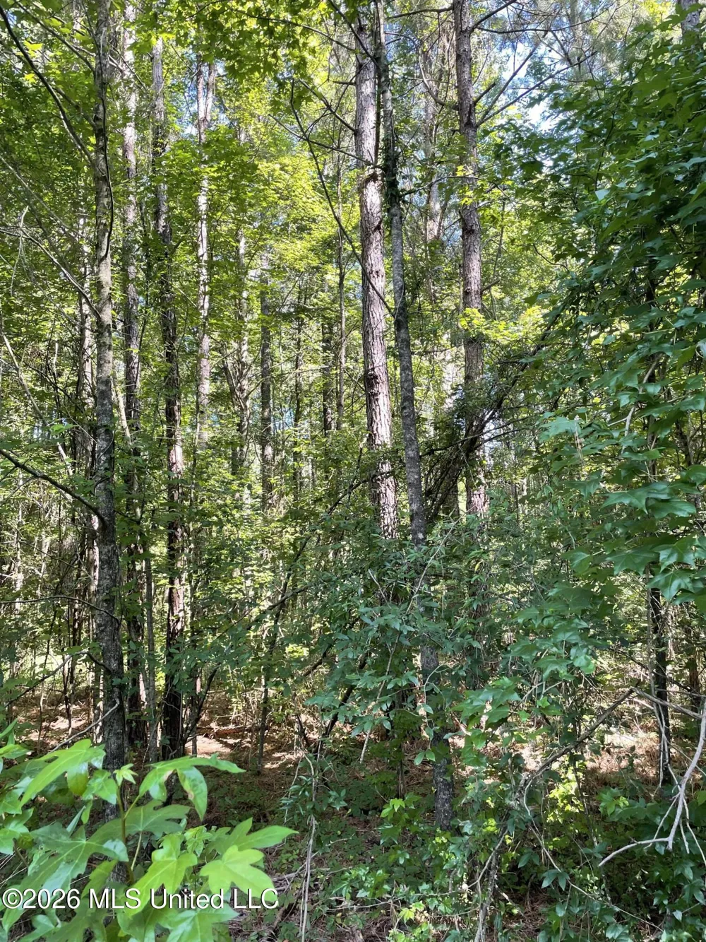 444 Jims Road Lena, MS 39094