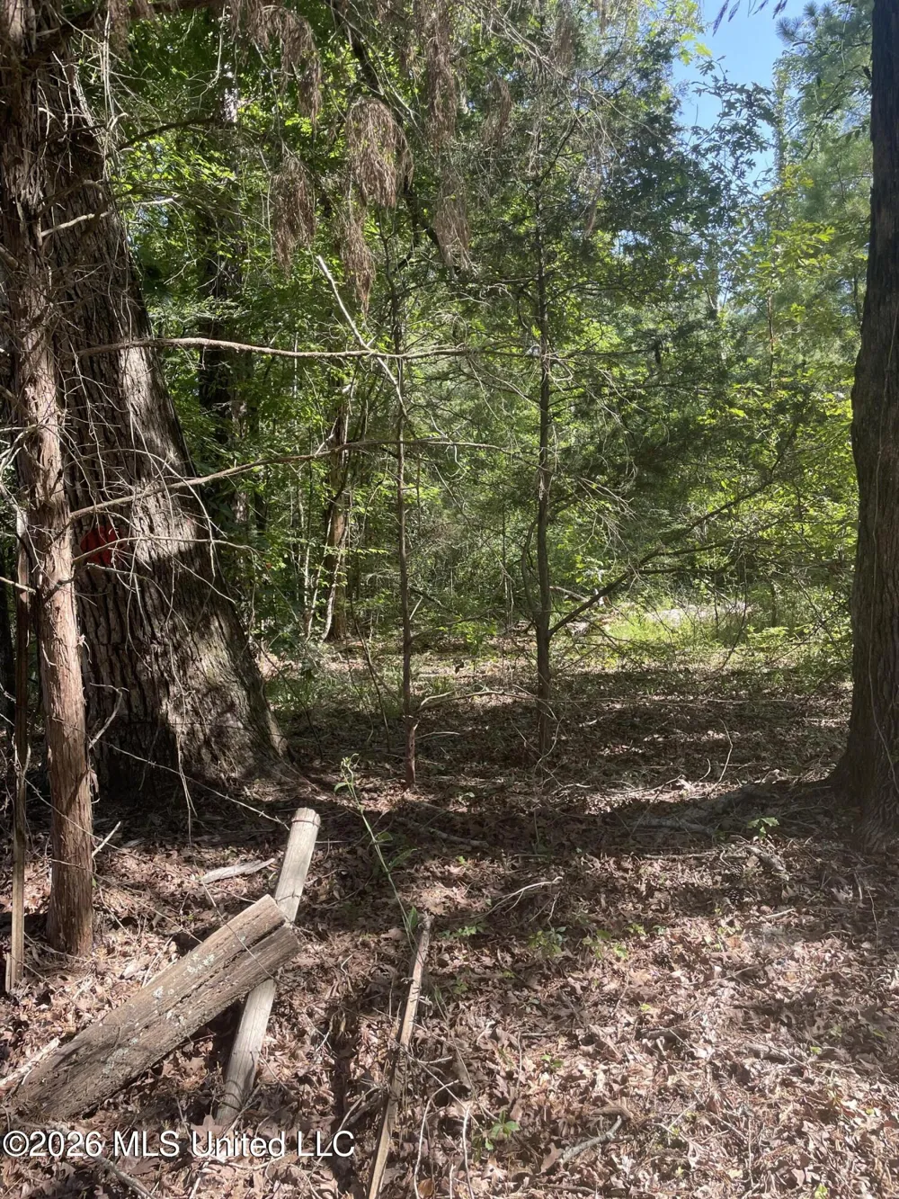 444 Jims Road Lena, MS 39094