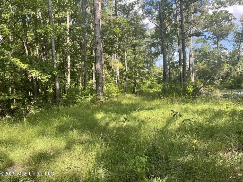 444 Jims Road Lena, MS 39094