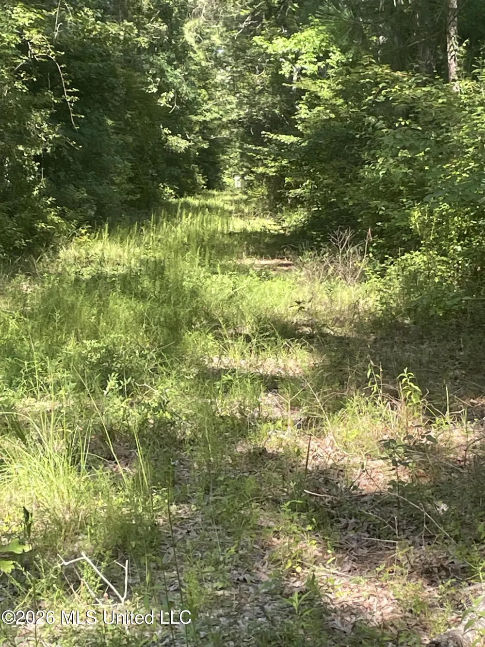 444 Jims Road Lena, MS 39094