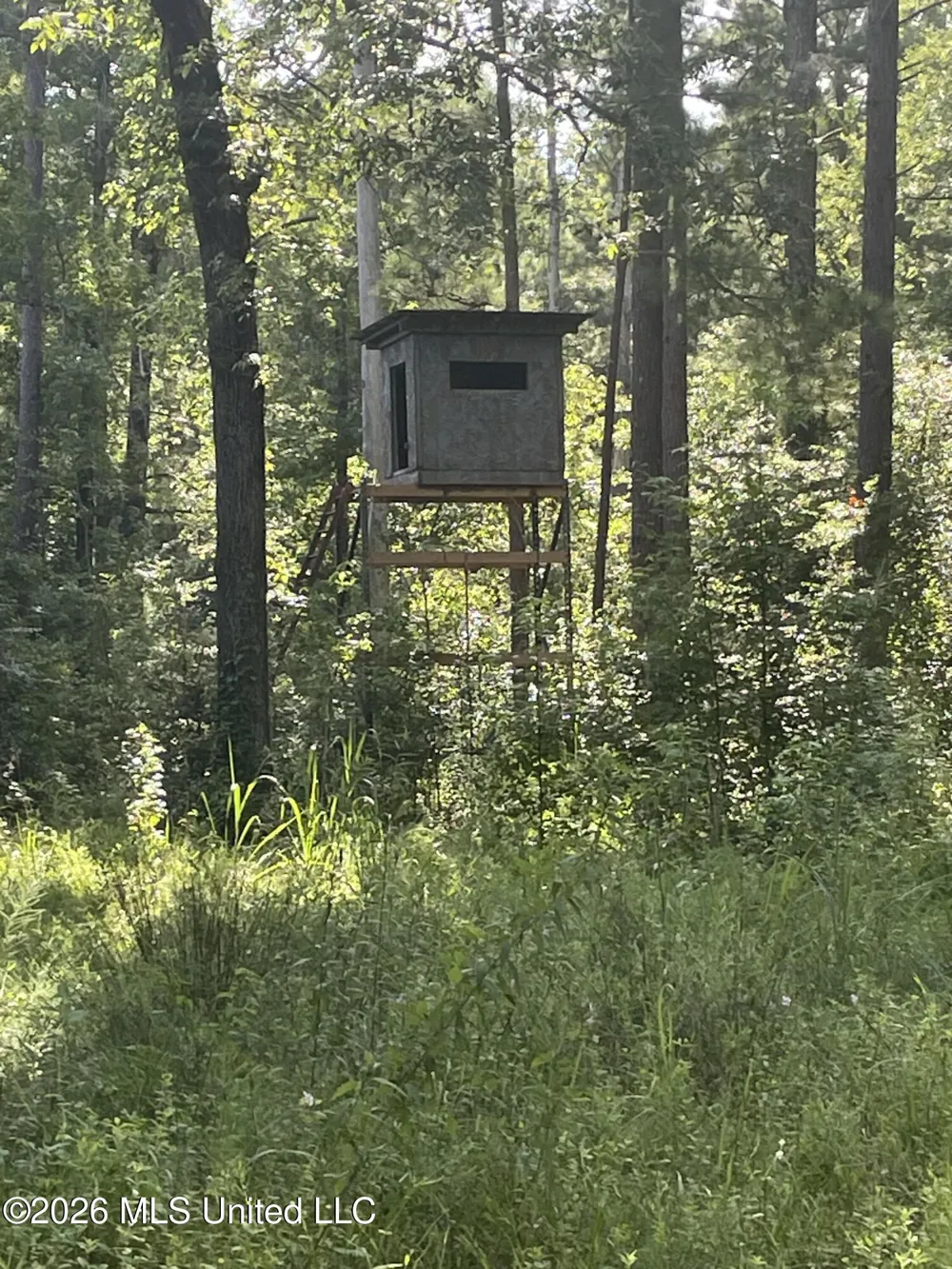 444 Jims Road Lena, MS 39094