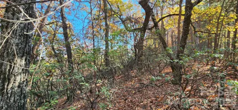 Lot 22 A Pinnacle Parkway #22 A