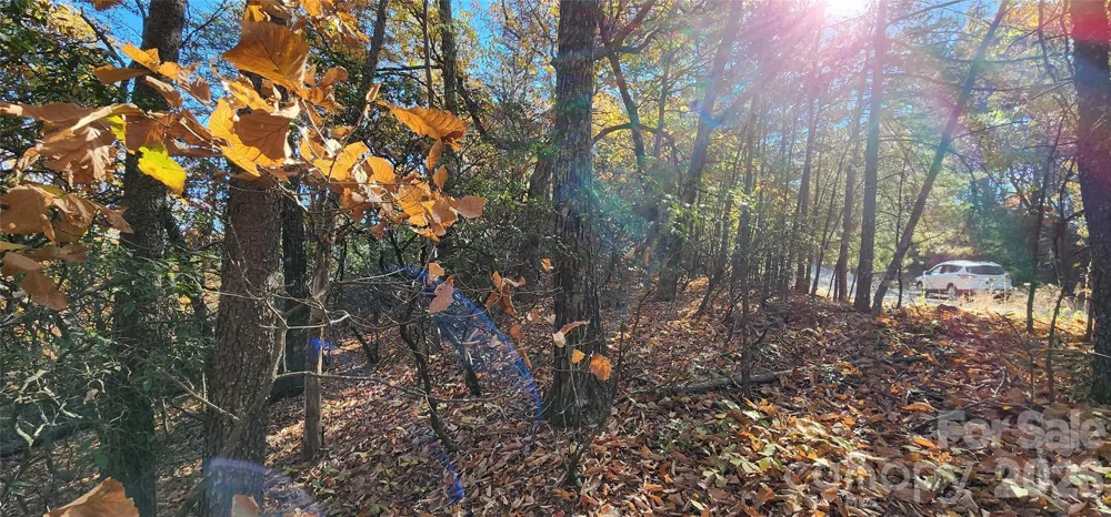 Lot 22 A Pinnacle Parkway #22 A Union Mills, NC 28167