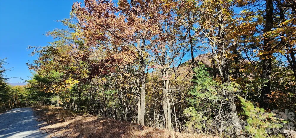 Lot 22 A Pinnacle Parkway #22 A Union Mills, NC 28167