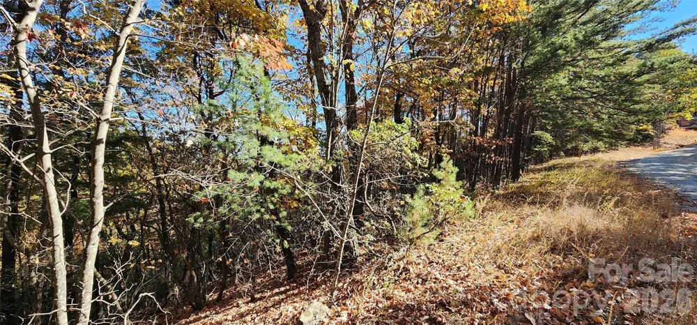 Lot 22 A Pinnacle Parkway #22 A Union Mills, NC 28167