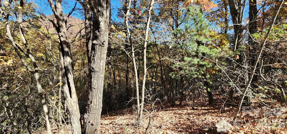 Lot 22 A Pinnacle Parkway #22 A Union Mills, NC 28167