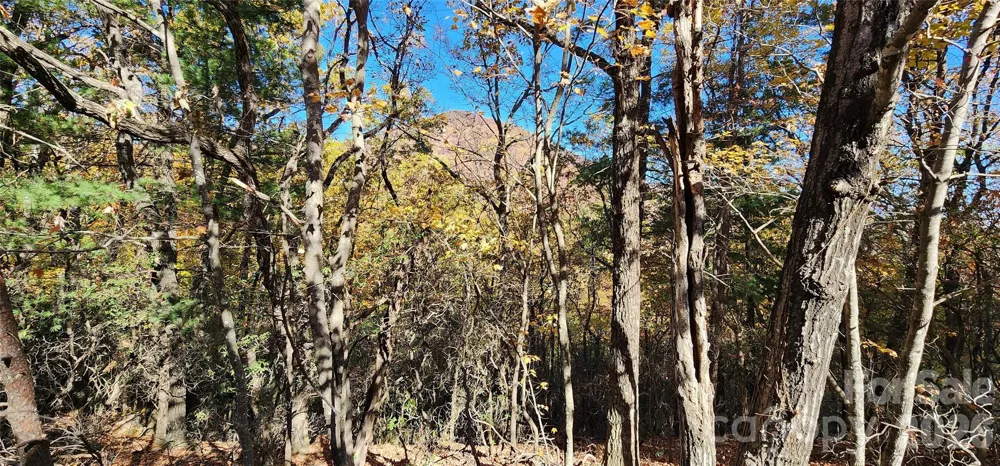 Lot 22 A Pinnacle Parkway #22 A Union Mills, NC 28167