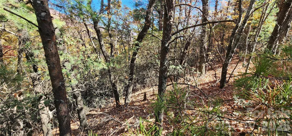 Lot 22 A Pinnacle Parkway #22 A Union Mills, NC 28167