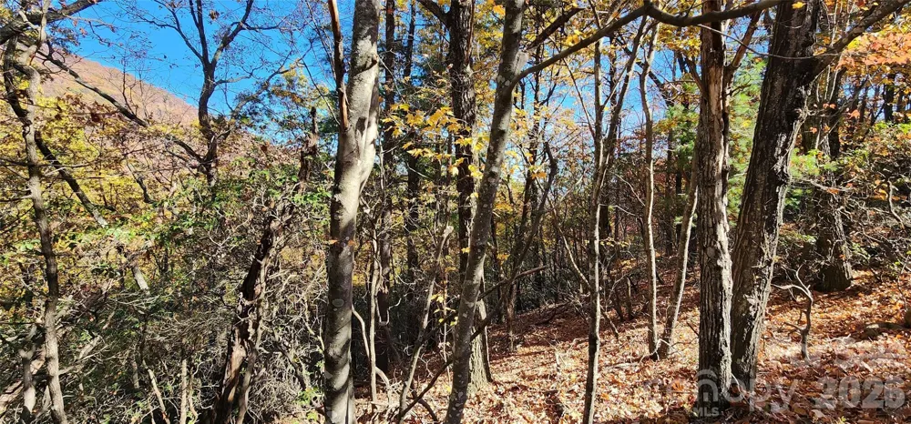 Lot 22 A Pinnacle Parkway #22 A Union Mills, NC 28167