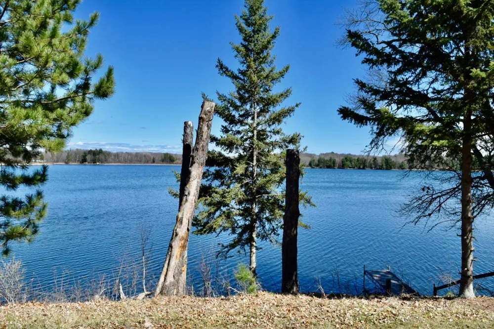 682 Shore Haven Lane #Cabin 4 Hackensack, MN 56452