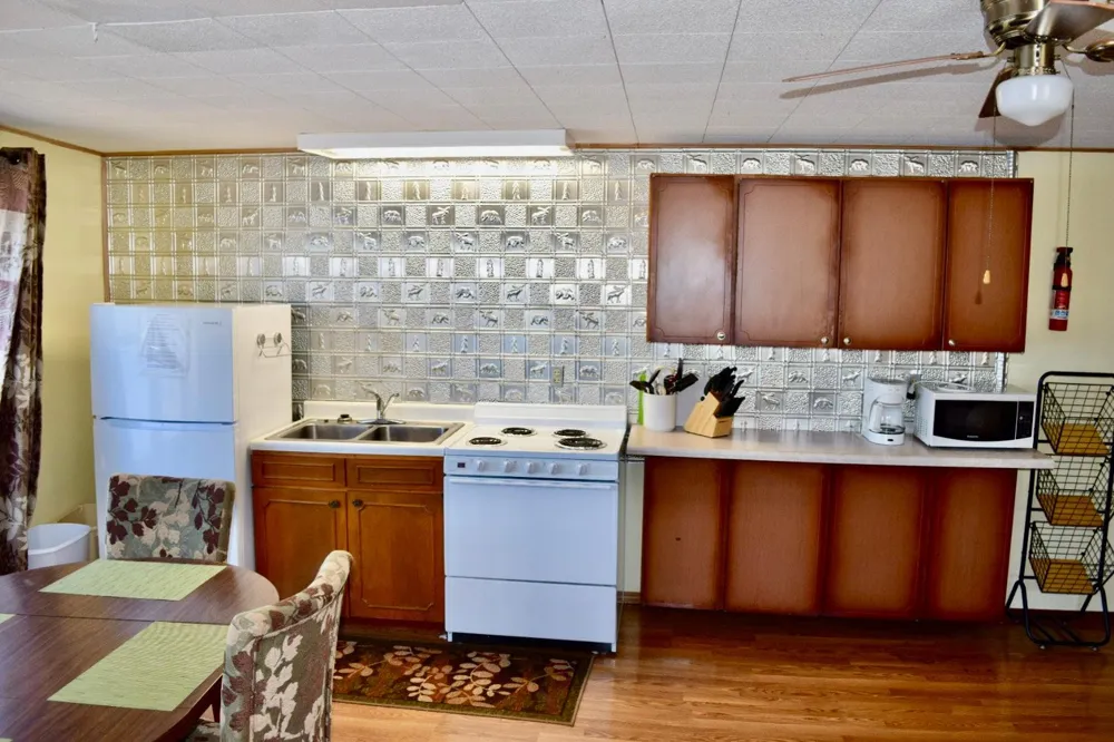 682 Shore Haven Lane #Cabin 4 Hackensack, MN 56452