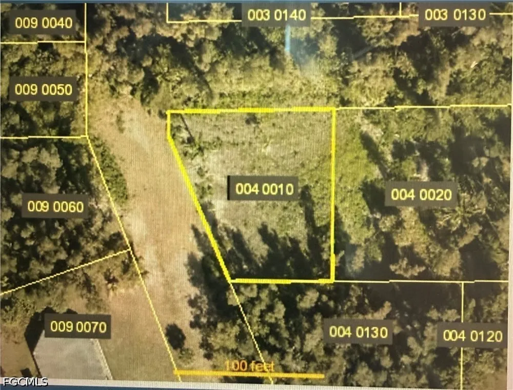 Americana Avenue Estero, FL 33928