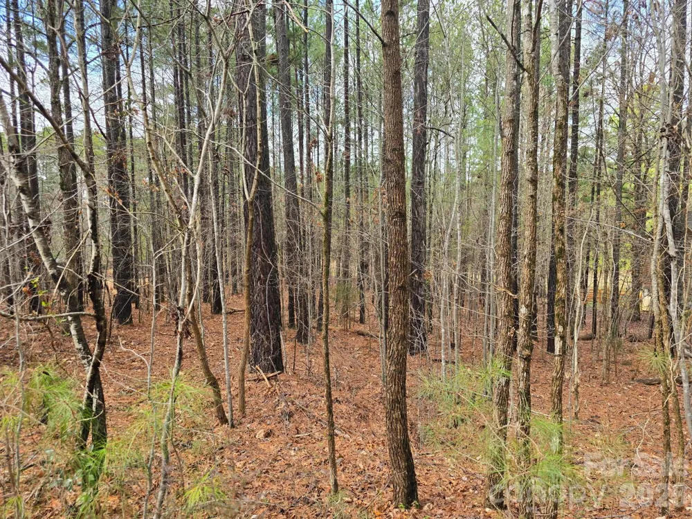 225 Cove Wood Drive Denton, NC 27239