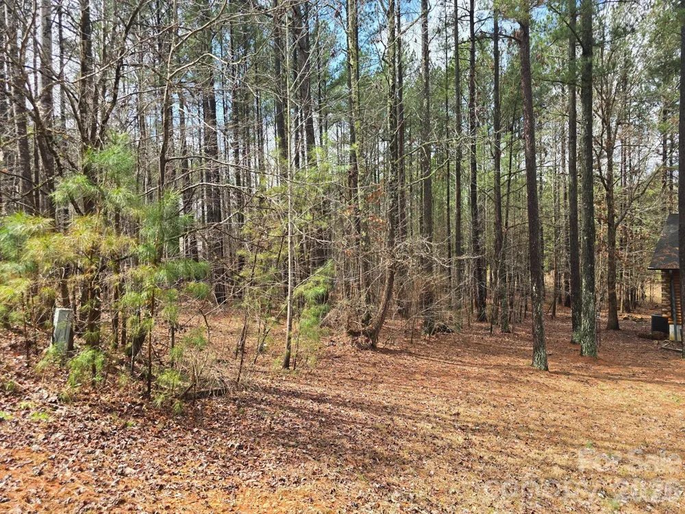 225 Cove Wood Drive Denton, NC 27239