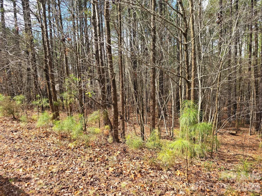 225 Cove Wood Drive Denton, NC 27239
