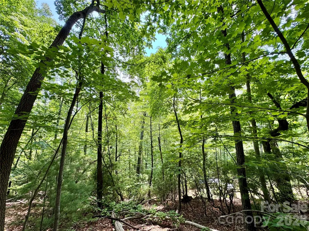 Lot 23 Bear Track Lane #23 Lenoir, NC 28645