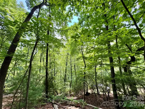 Lot 23 Bear Track Lane #23