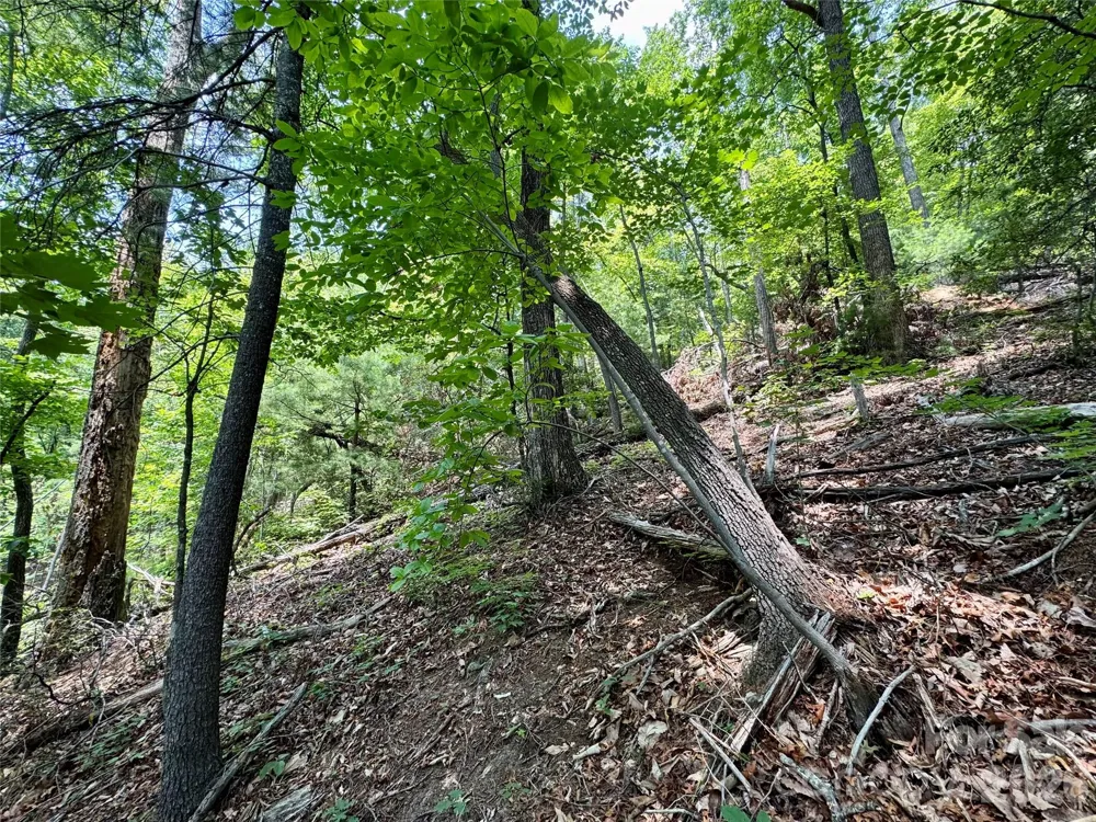 Lot 23 Bear Track Lane #23 Lenoir, NC 28645
