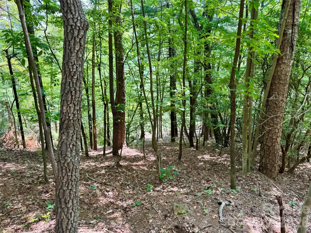 Lot 23 Bear Track Lane #23 Lenoir, NC 28645