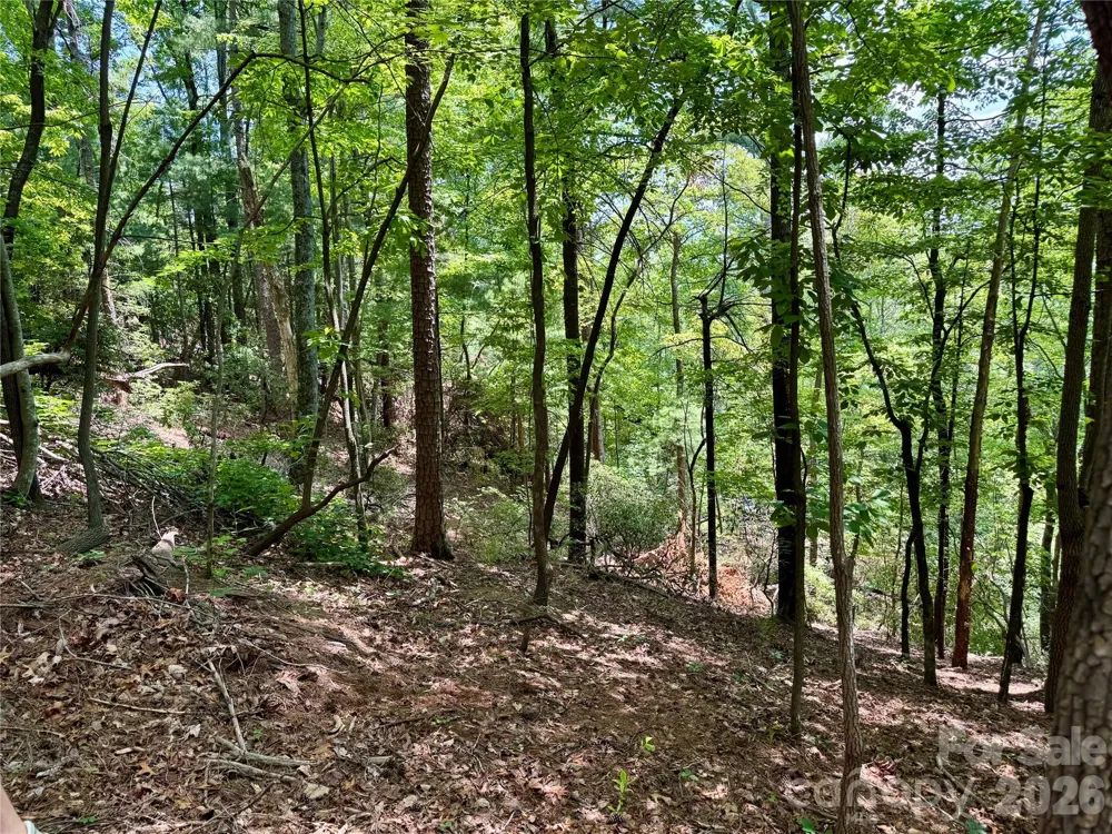 Lot 23 Bear Track Lane #23 Lenoir, NC 28645