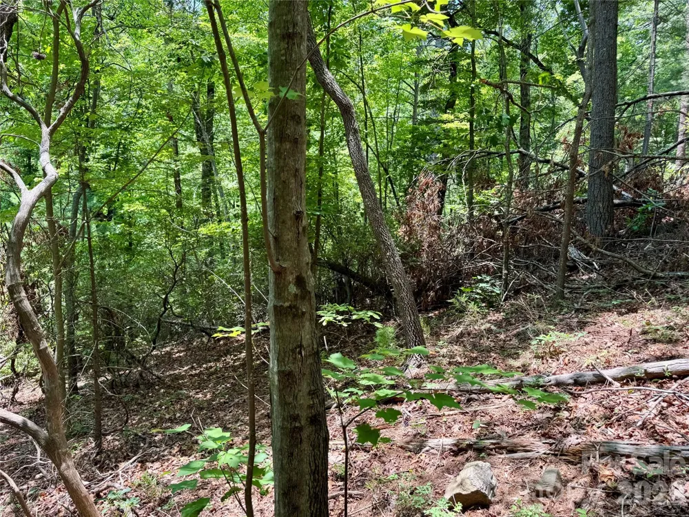 Lot 23 Bear Track Lane #23 Lenoir, NC 28645