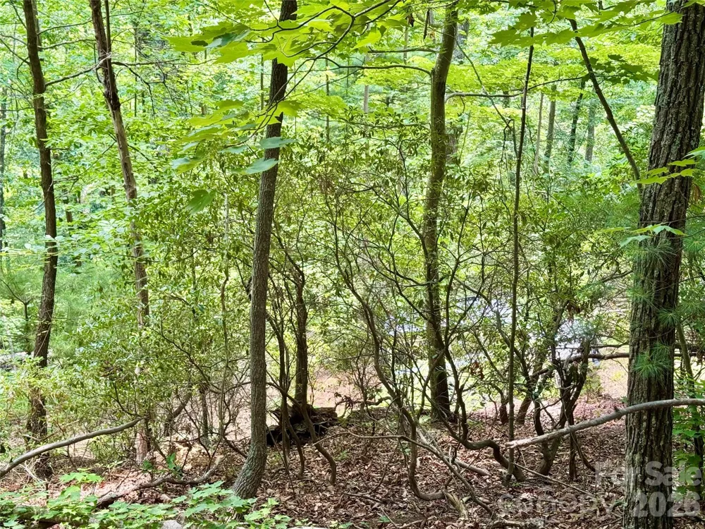 Lot 23 Bear Track Lane #23 Lenoir, NC 28645