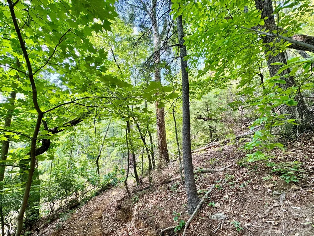 Lot 23 Bear Track Lane #23 Lenoir, NC 28645