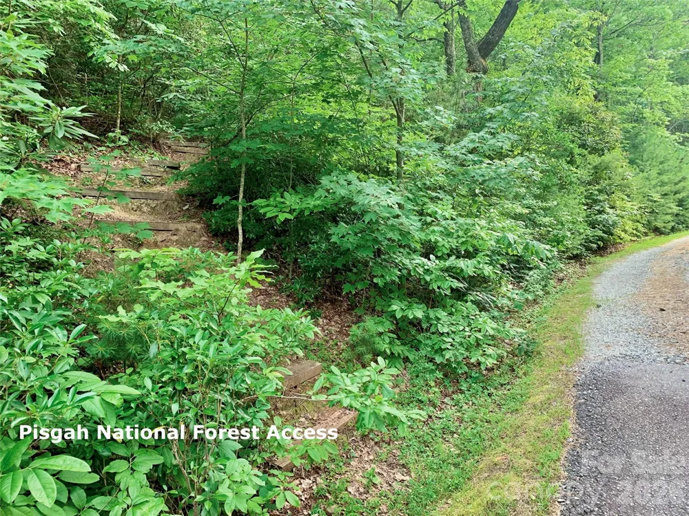 Lot 23 Bear Track Lane #23 Lenoir, NC 28645