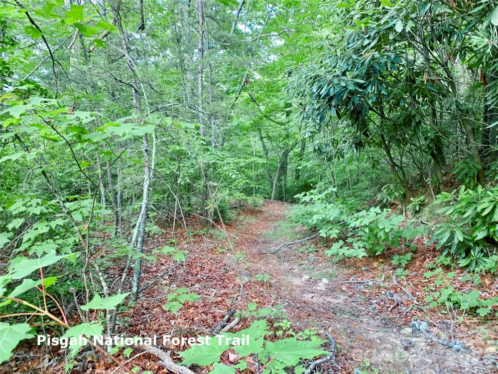 Lot 23 Bear Track Lane #23 Lenoir, NC 28645