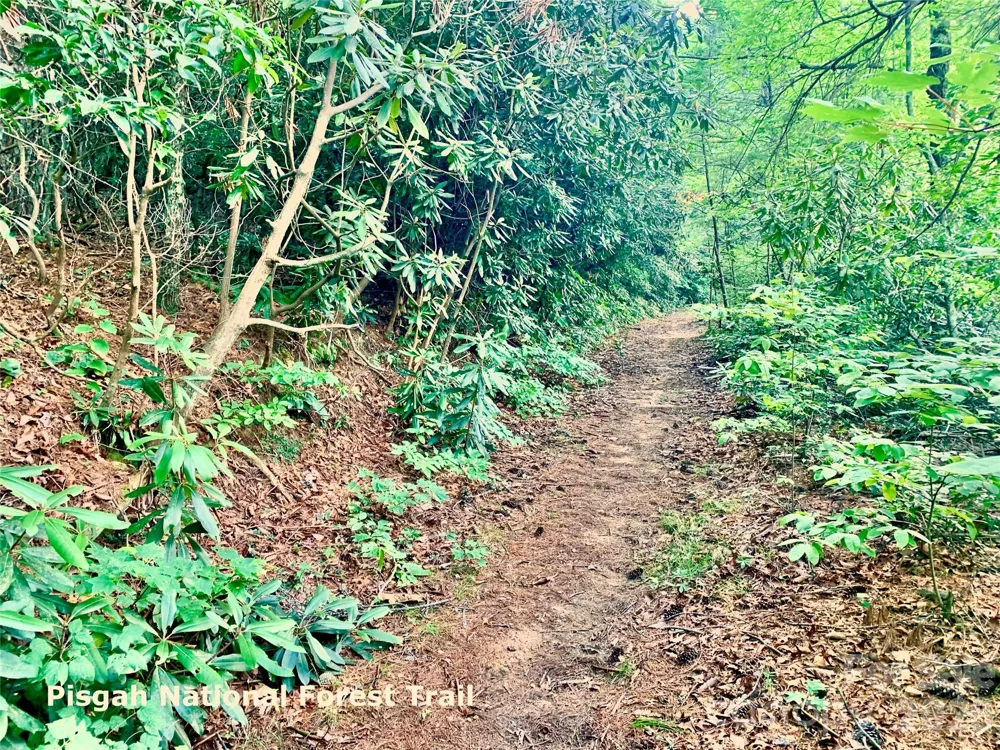 Lot 23 Bear Track Lane #23 Lenoir, NC 28645