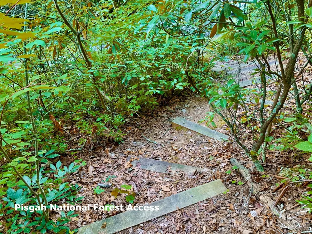 Lot 23 Bear Track Lane #23 Lenoir, NC 28645