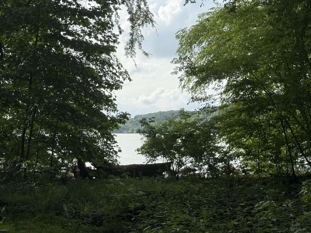 0 Caney Creek Rd Stewart, TN 37175