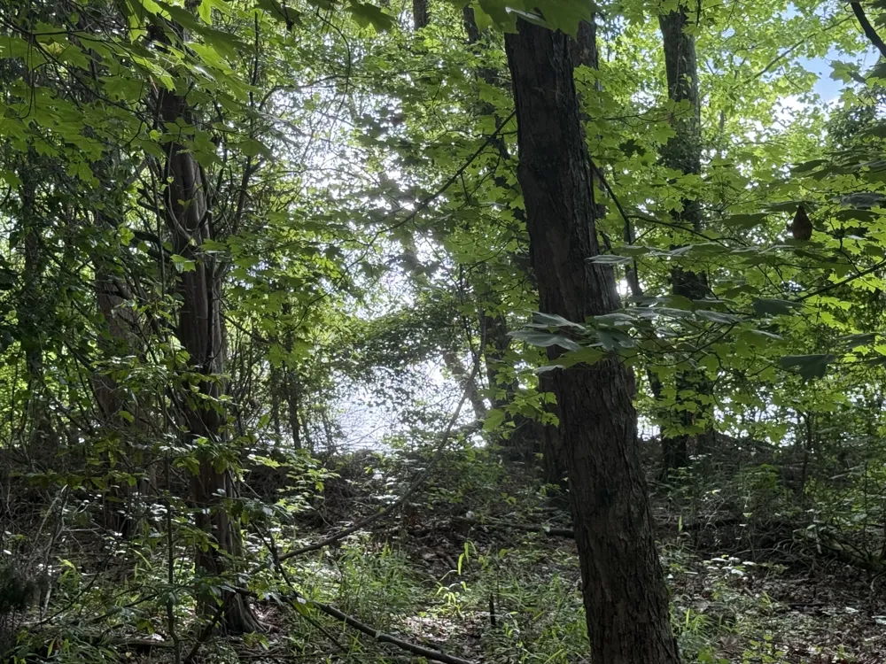 0 Caney Creek Rd Stewart, TN 37175