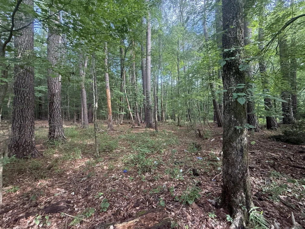 0 Caney Creek Rd Stewart, TN 37175